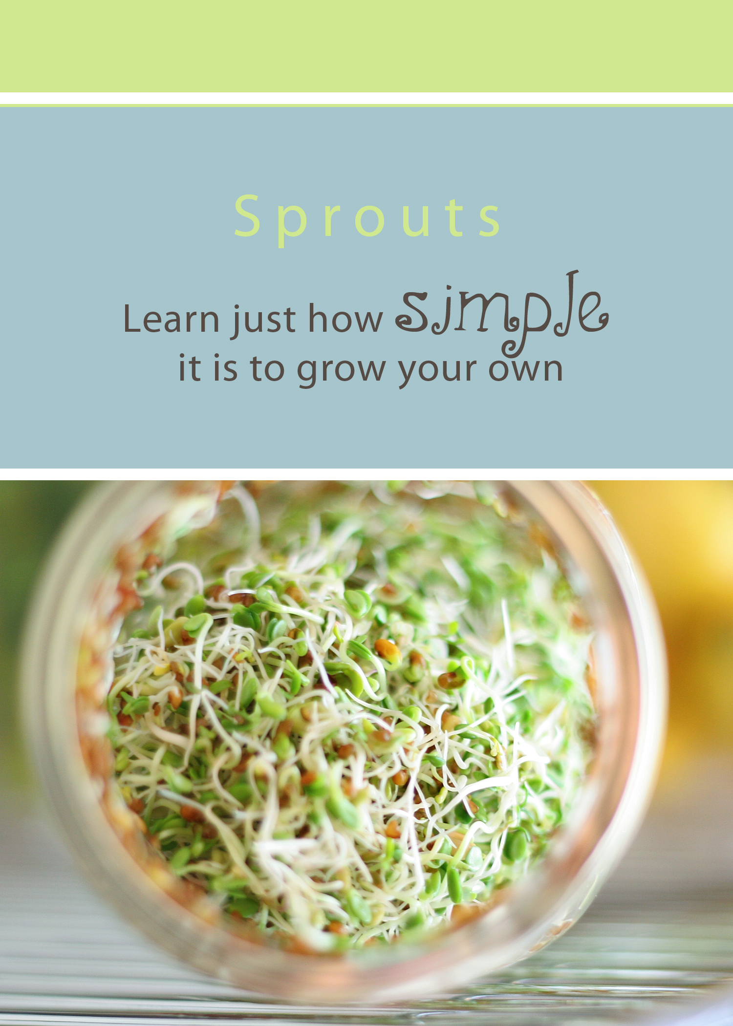 grow sprouts cover copy