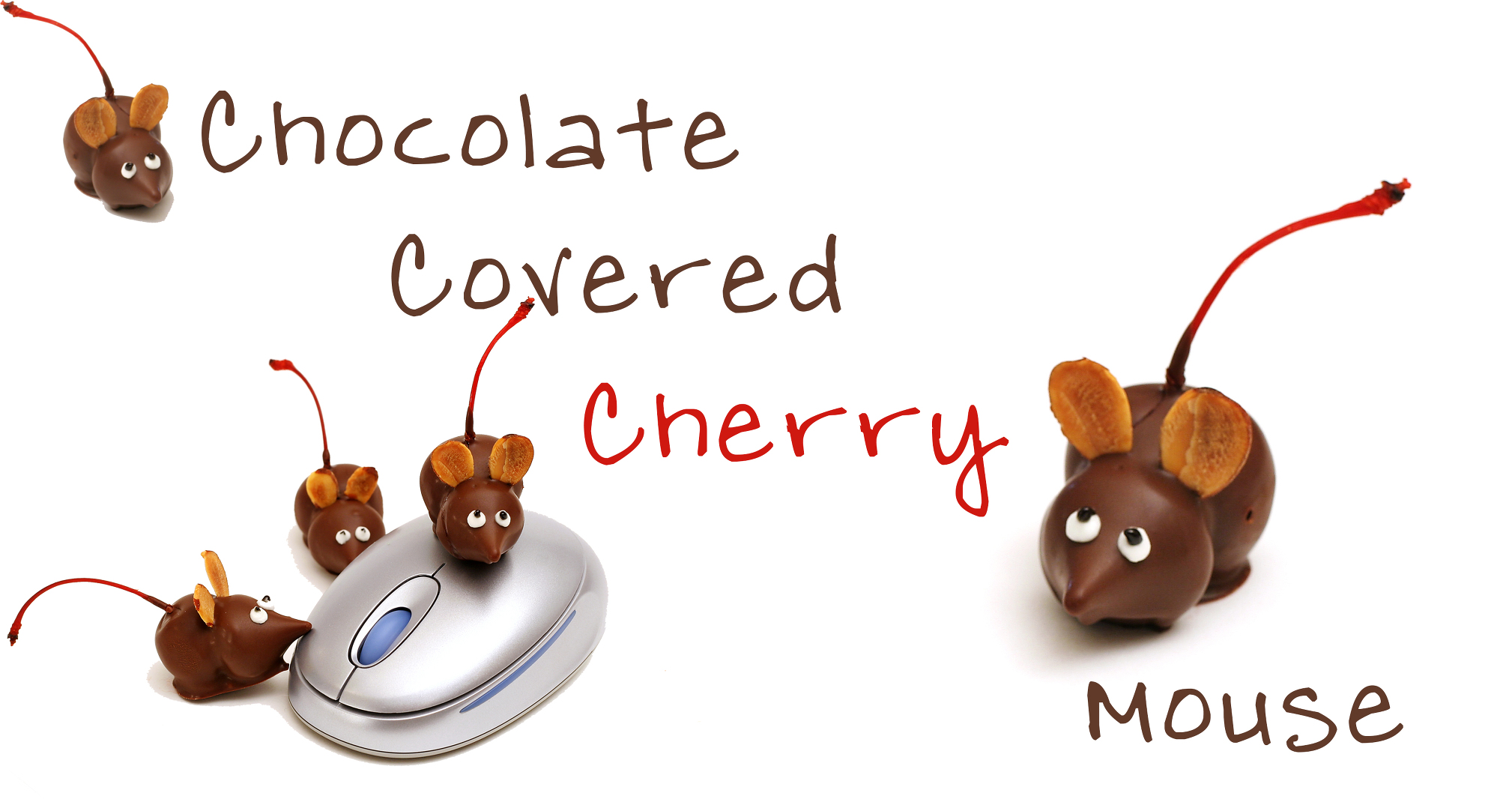 I still can’t get over how cute these chocolate candy mice are. They