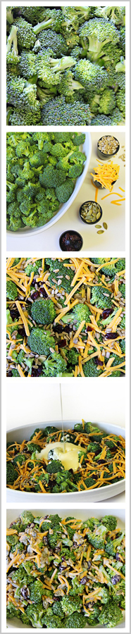 broccoli salad collage set