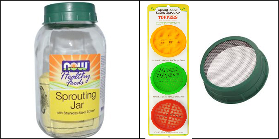 sprout jar and lid2