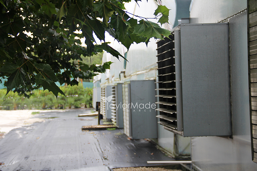 microgreen greenhouse vent