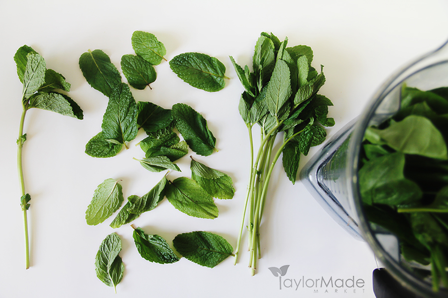 mint and spinach TaylorMade Market