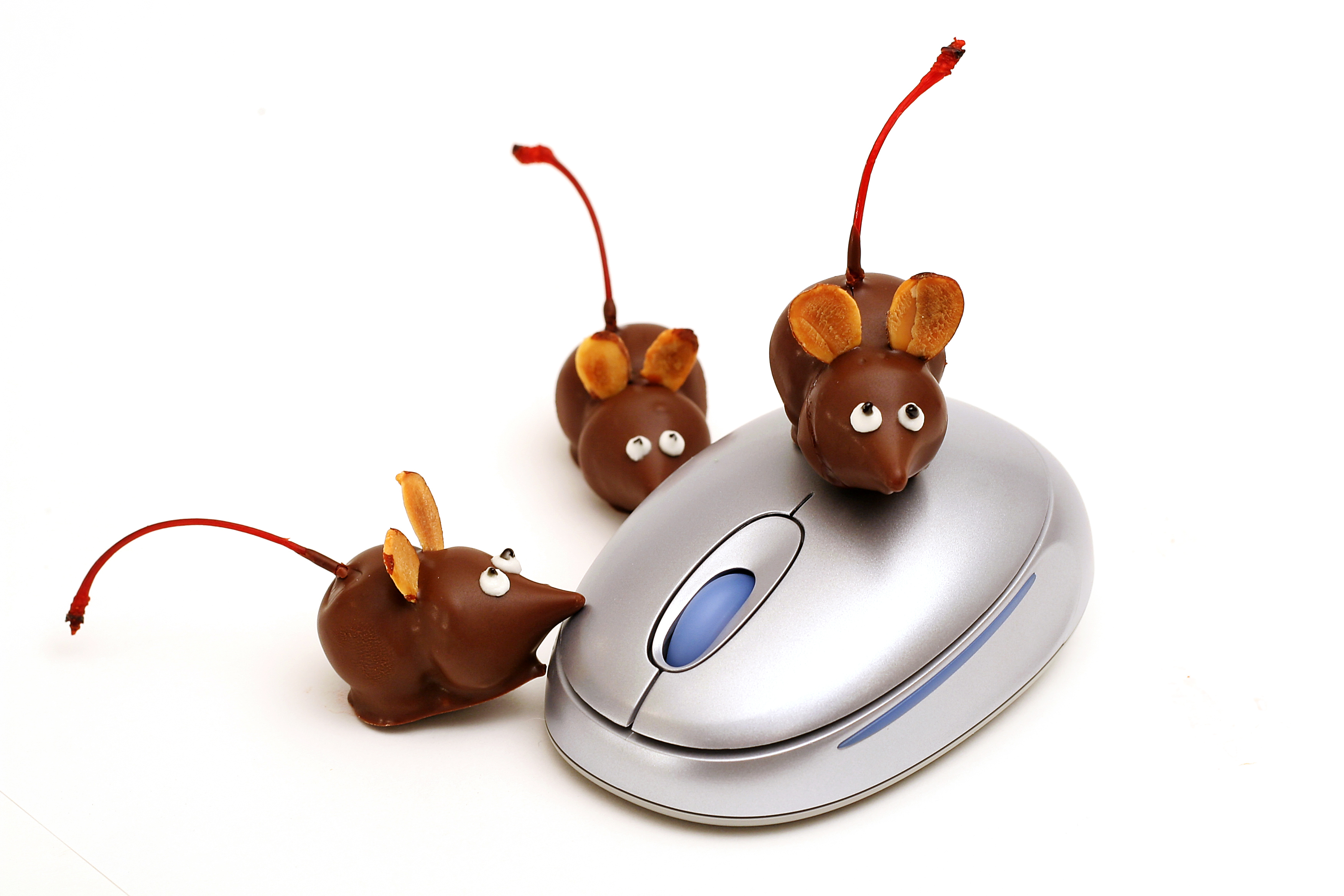 Chocolate Cherry Mouse